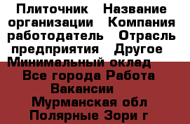 Плиточник › Название организации ­ Компания-работодатель › Отрасль предприятия ­ Другое › Минимальный оклад ­ 1 - Все города Работа » Вакансии   . Мурманская обл.,Полярные Зори г.